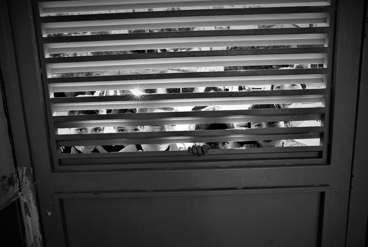 Serbest giriş / lensler konuşabilseydi